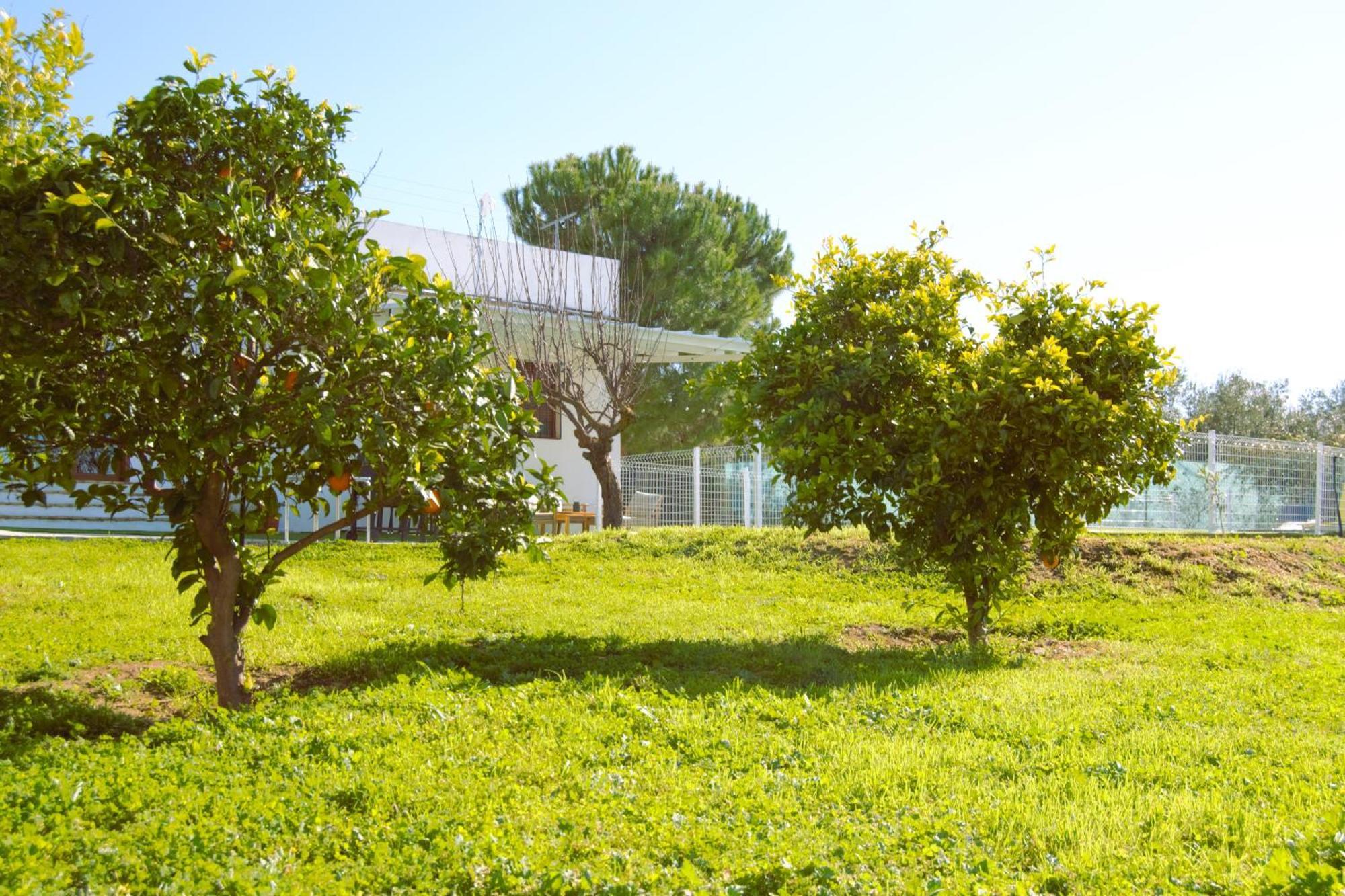 הוילה מונטיה La Casa Del Carreron מראה חיצוני תמונה